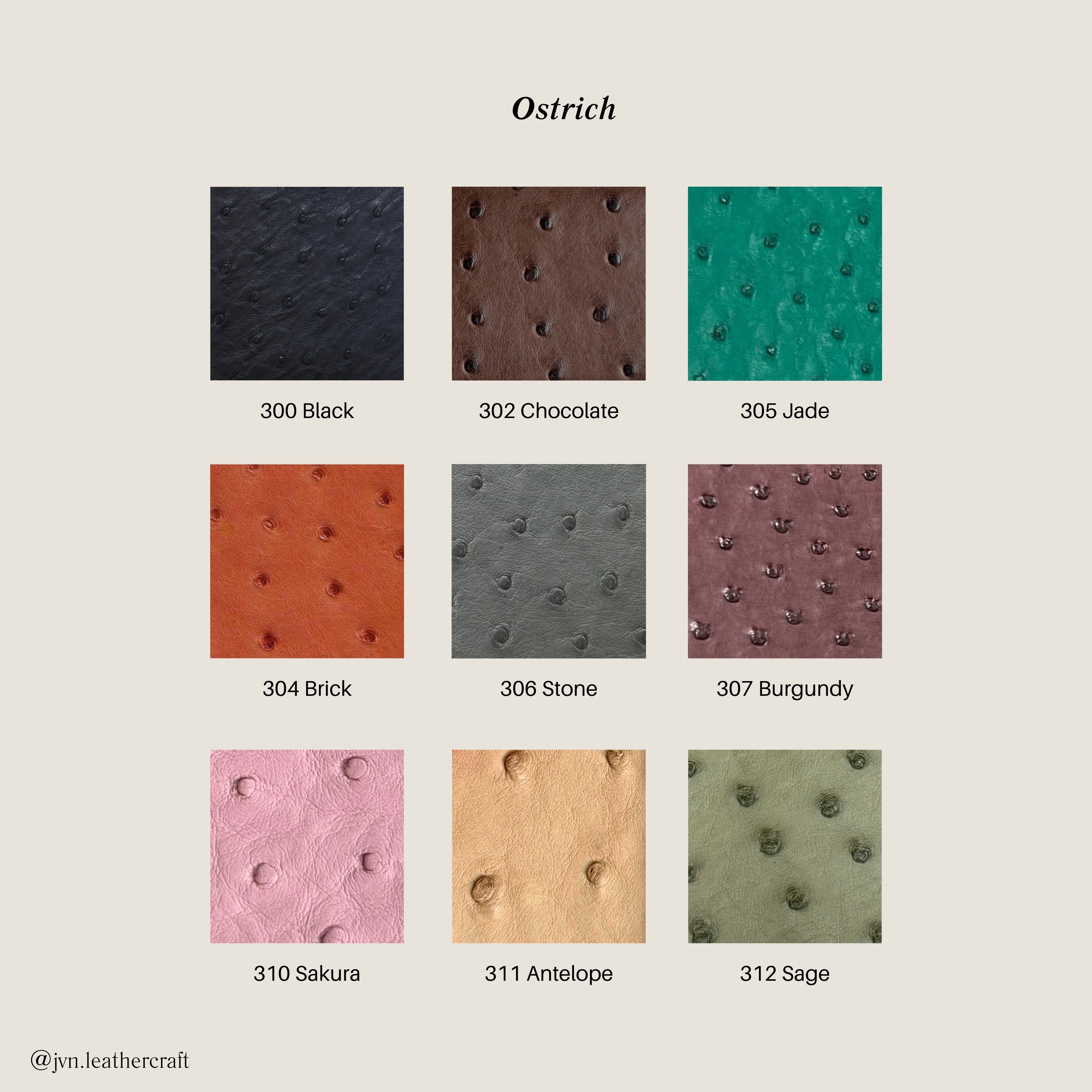 JVN003 Passport Case (Made-to-order)